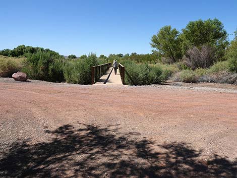 Henderson Bird Viewing Preserve