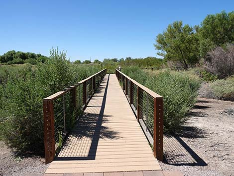 Henderson Bird Viewing Preserve