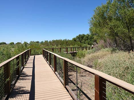 Henderson Bird Viewing Preserve