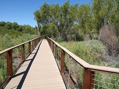 Henderson Bird Viewing Preserve