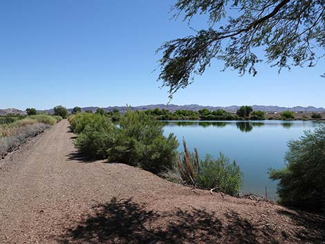 Henderson Bird Viewing Preserve