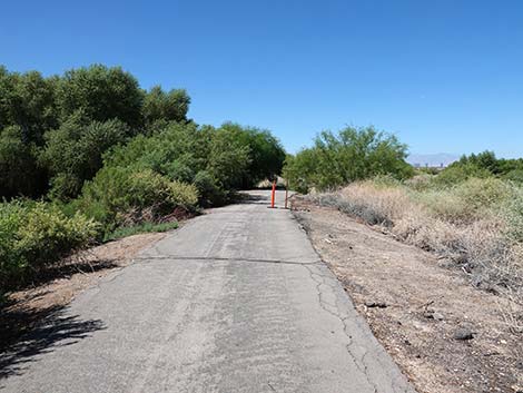 Henderson Bird Viewing Preserve