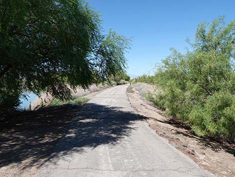 Henderson Bird Viewing Preserve