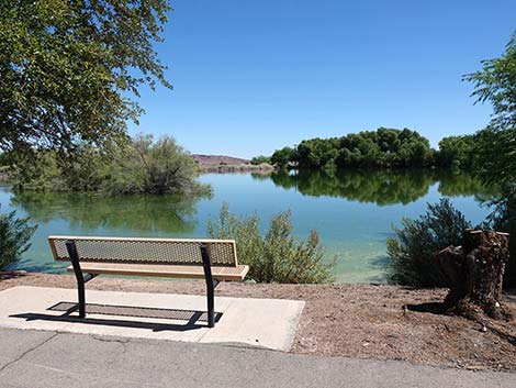 Henderson Bird Viewing Preserve