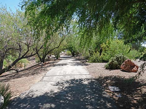 Henderson Bird Viewing Preserve