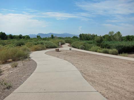 Clark County Wetlands Park