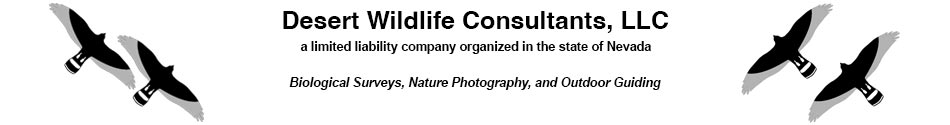 Desert Wildlife Consultants, LLC