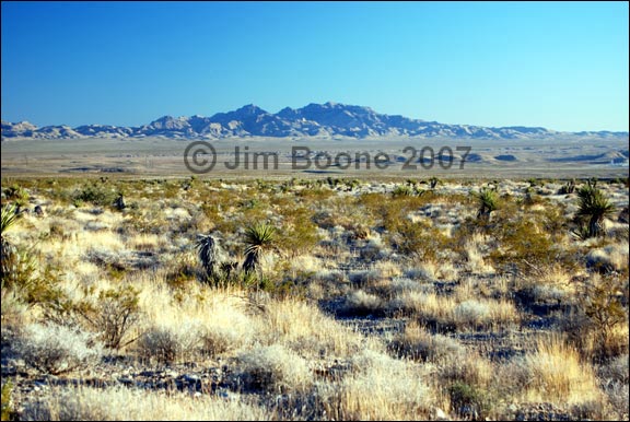 Muddy Mountains in Winter