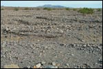 Desert Pavement Coarse