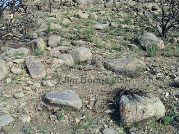 Rocky Desert Soil