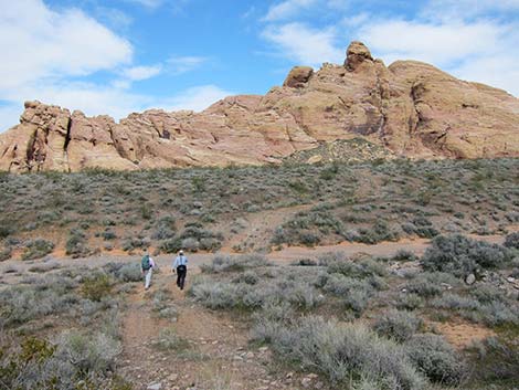 Two-Track Dirt Roads