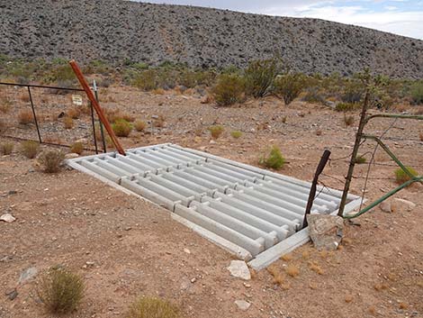 cattle guard