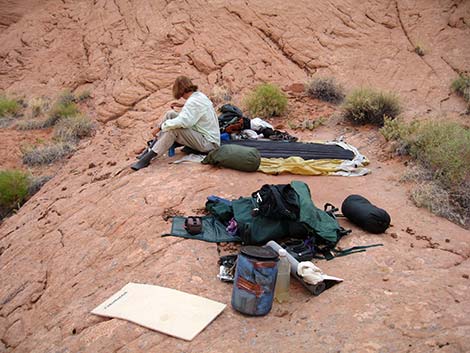 coyote gulch leave no trace campsite