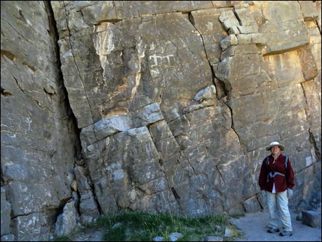 Arrow Canyon Wilderness Area