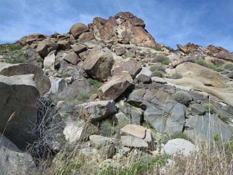 grapevine canyon