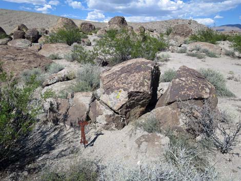 Ash Springs Rock Art Site