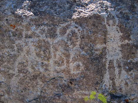 Ash Springs Archeological Site