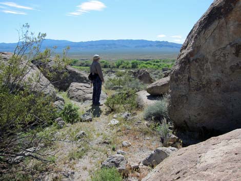 Ash Springs Archeological Site