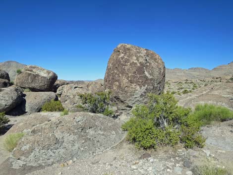 Crystal Wash Main Rock Art Site