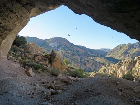 Rainbow Canyon Rock Art