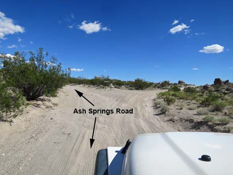 Ash Springs Rock Art Site Road