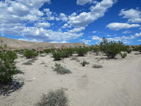 Ash Springs Rock Art Site Road