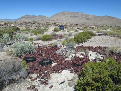 Crystal Wash Shepherd Camp