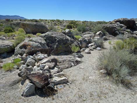 Crystal Wash Shepherd Camp