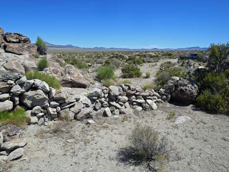 Crystal Wash Shepherd Camp