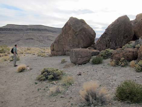 Mojave National Preserve