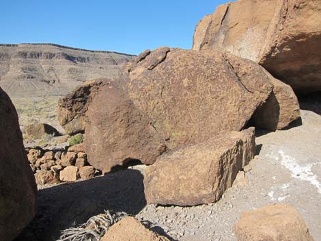 Mojave National Preserve