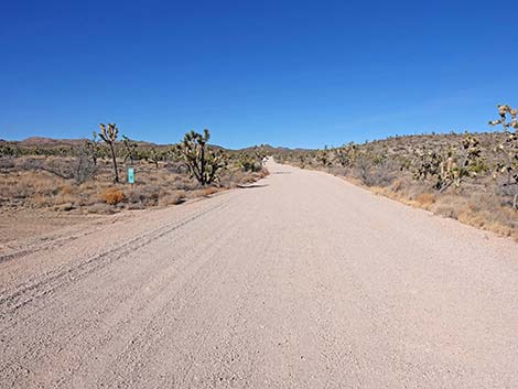 Grasslands Trail