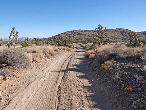 Grasslands Trail