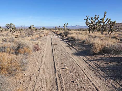 Grasslands Trail