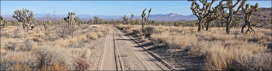 Grasslands Trail