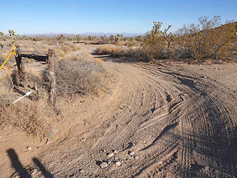 Grasslands Trail