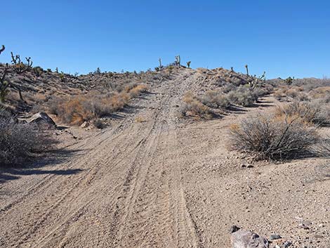 Grasslands Trail