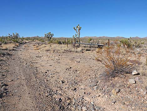 Grasslands Trail