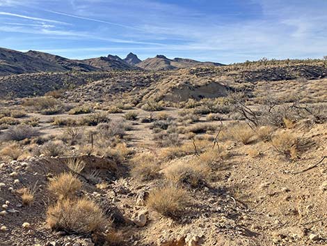 Grasslands Trail