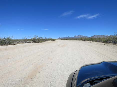 Christmas Tree Pass Road