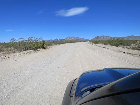 Christmas Tree Pass Road