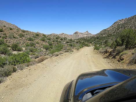 Christmas Tree Pass Road