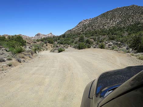 Christmas Tree Pass Road