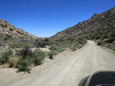 Christmas Tree Pass Road