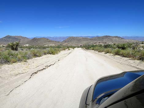 Christmas Tree Pass Road