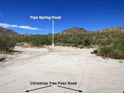 Christmas Tree Pass Road