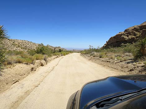 Christmas Tree Pass Road