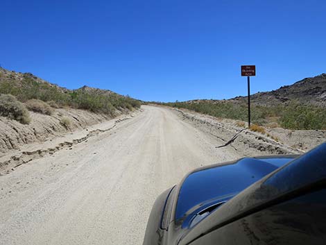 Christmas Tree Pass Road