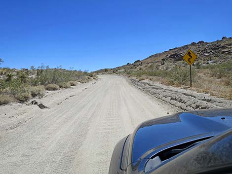 Christmas Tree Pass Road