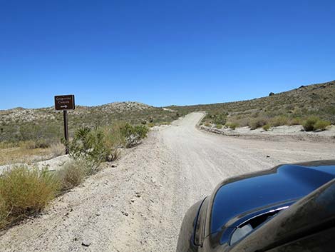 Christmas Tree Pass Road